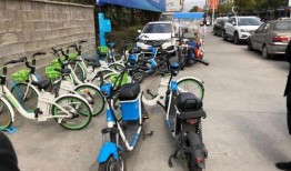 龙港爆料新闻网官网最新,最新动态，聚焦龙港发展热点